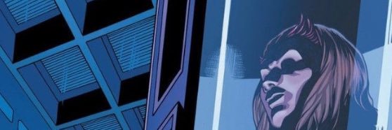 The Scarlet Bytch 🐦‍🔥 banner