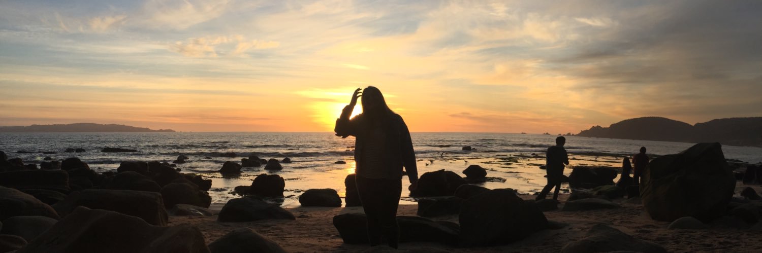 sofiaaraneda25's profile banner image