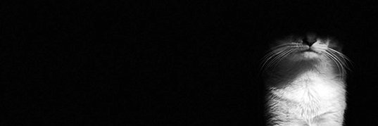 Dnramdani's profile banner image
