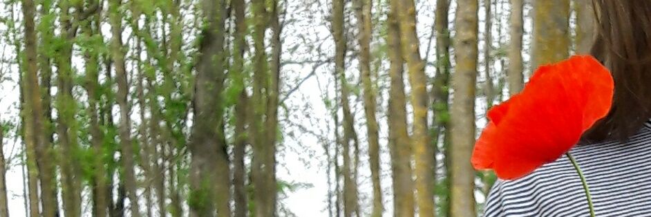 carofoli's profile banner image
