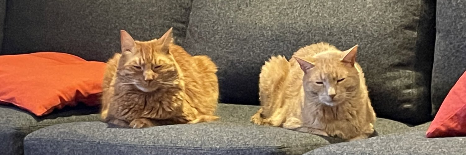 kaitlin ❄️ banner