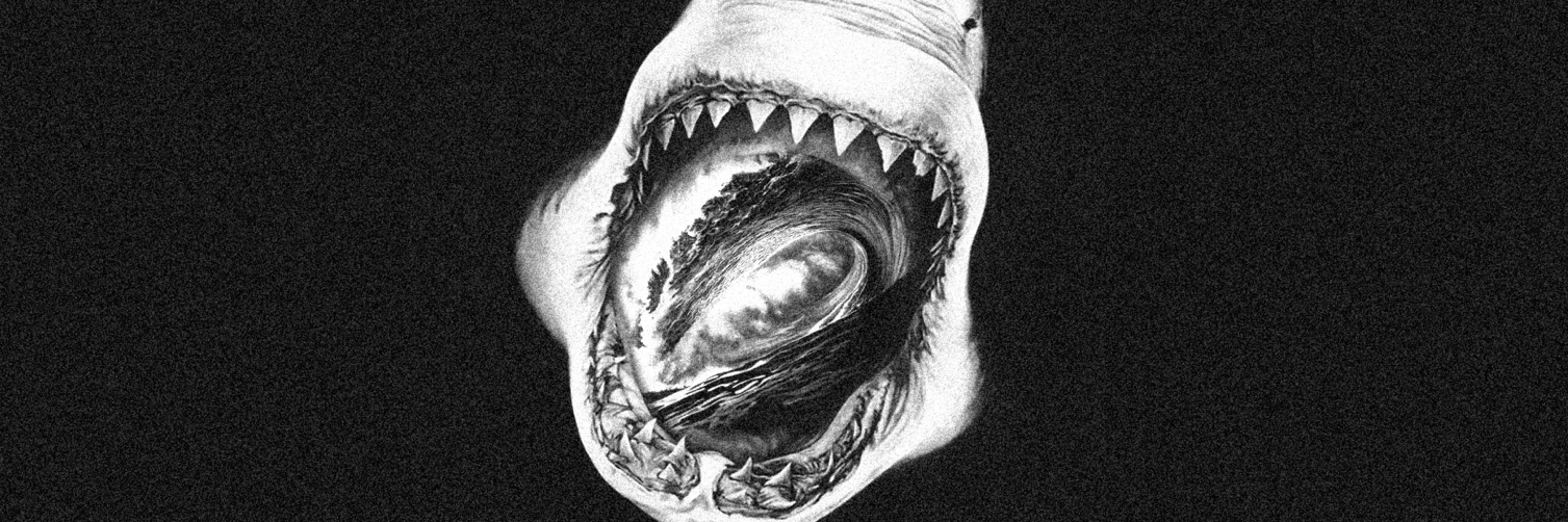 David Falossi II banner