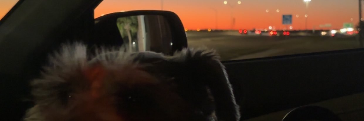 _JPool_'s profile banner image