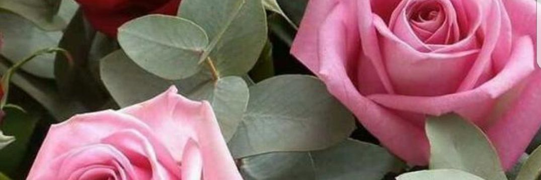 الماسة banner