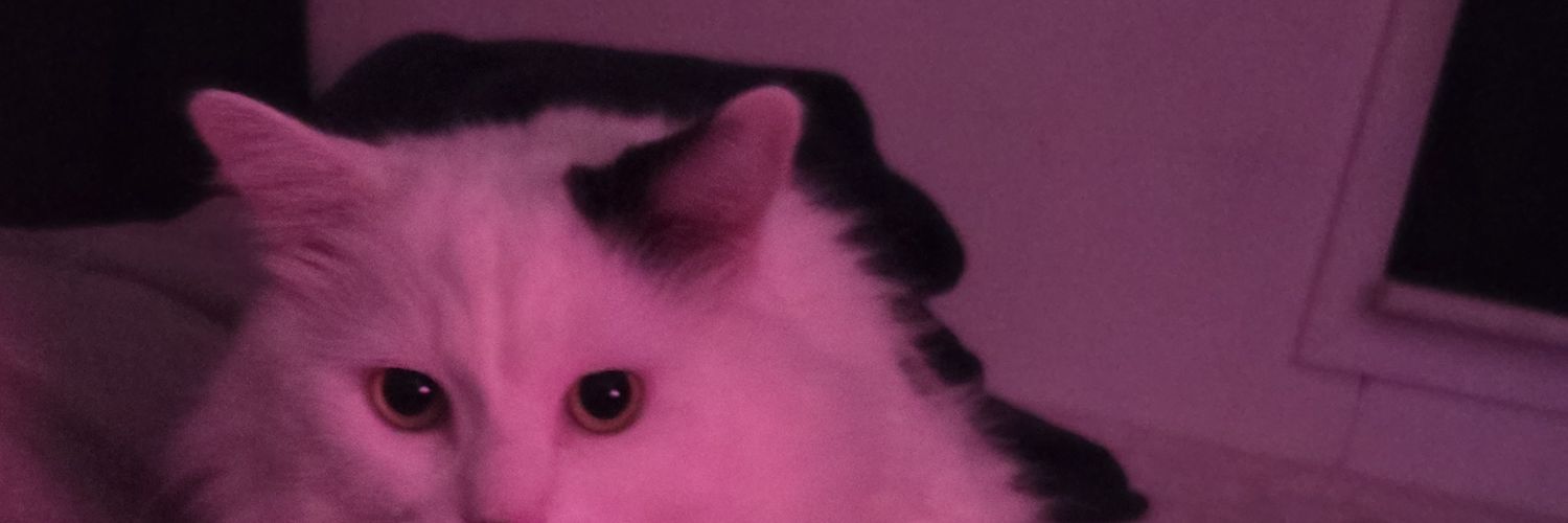 hiroyvk's profile banner image