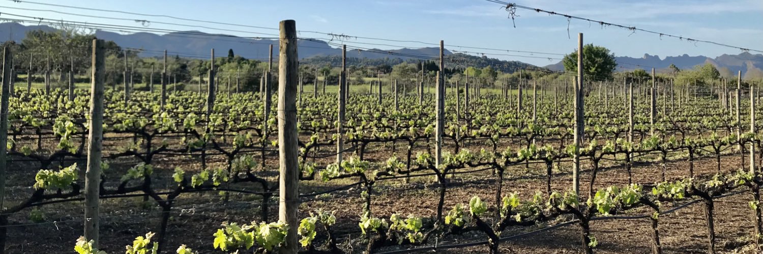 guauwine's profile banner image