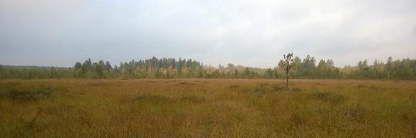 majulepp Profile Banner