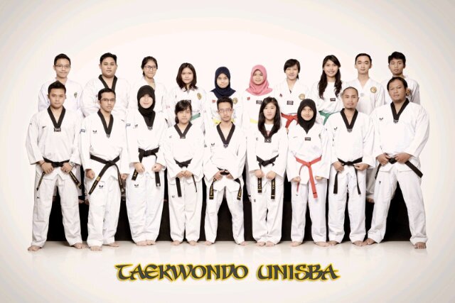 Taekwondo Unisba banner