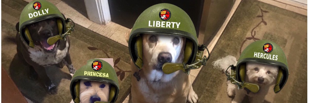 We4Dogs Dolly, Princesa,- Liberty 🌈, Hercules 🌈 banner
