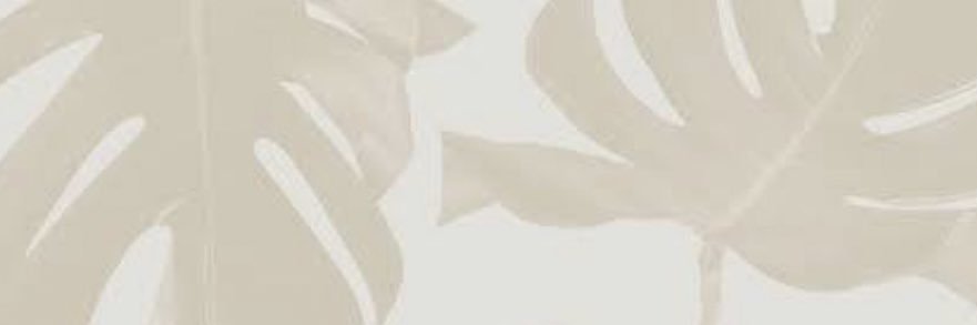 Hlj__x's profile banner image