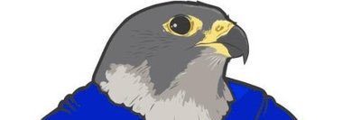 Michelle Shipley banner