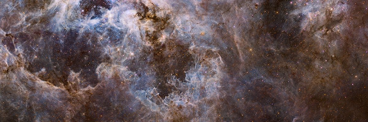 Darcangelo_'s profile banner image