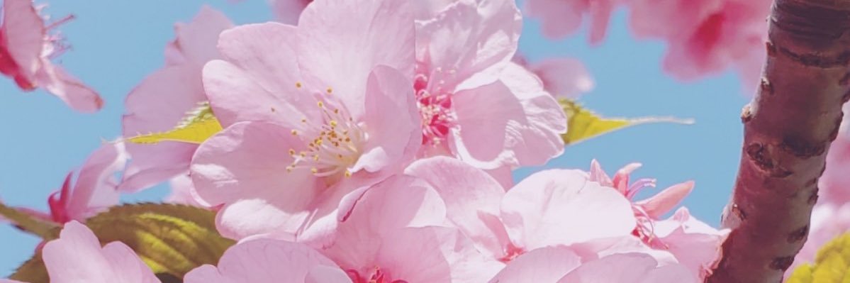 Nik_BNyce's profile banner image