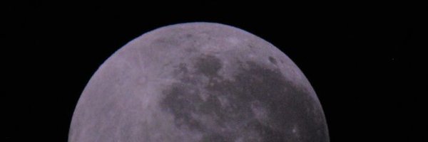 marufins Profile Banner