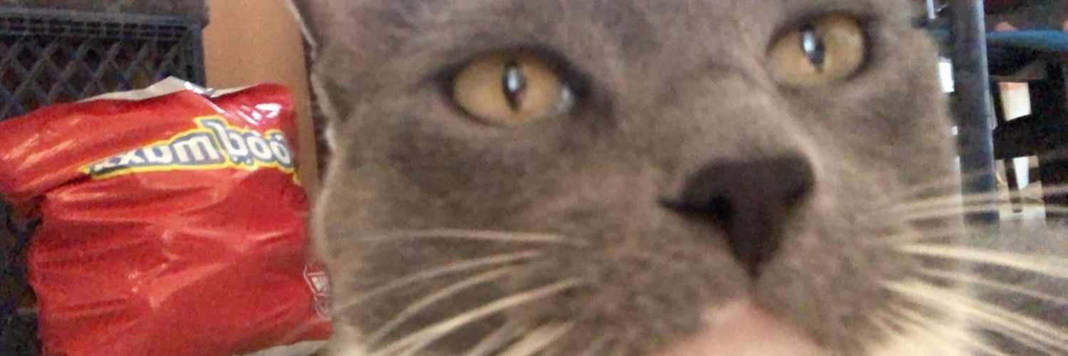 JThorpedo's profile banner image