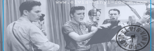 ElvisVinylWorld's profile banner image