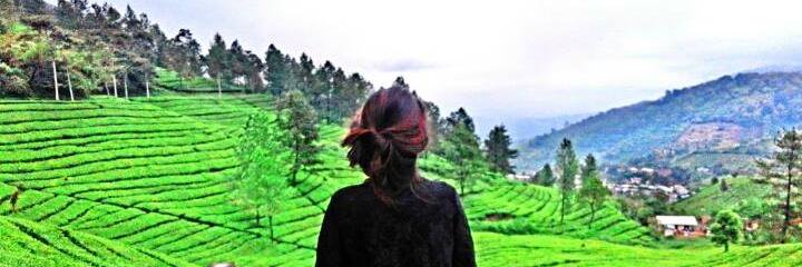 DianIndahM's profile banner image