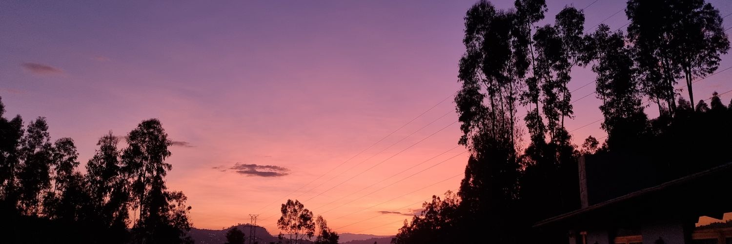 Pedro Crespo Flandoli 🇪🇨 banner