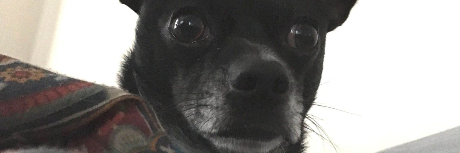 Mencetti's profile banner image