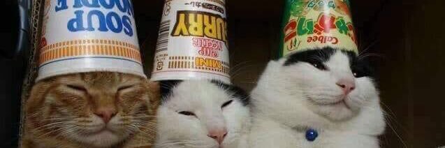 sillyycat_'s profile banner image