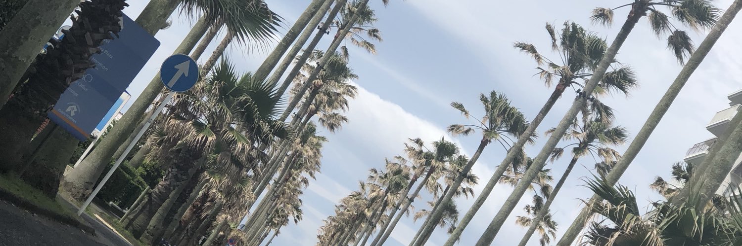 v_o1n's profile banner image