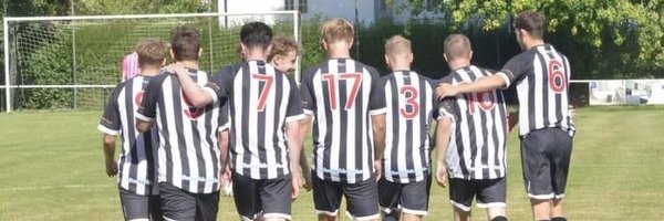 pewseyvalefc Profile Banner