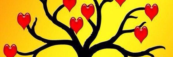 sonetka's profile banner image