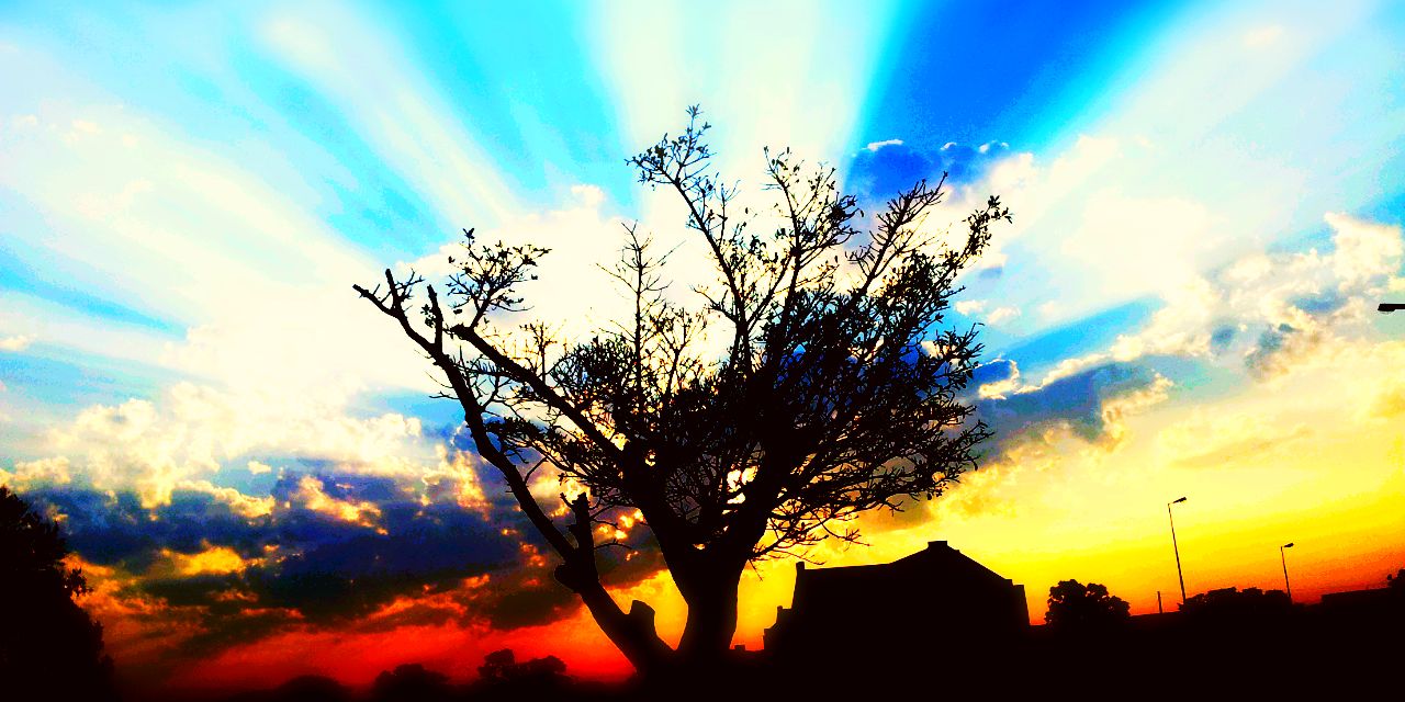 Hash__tagged's profile banner image