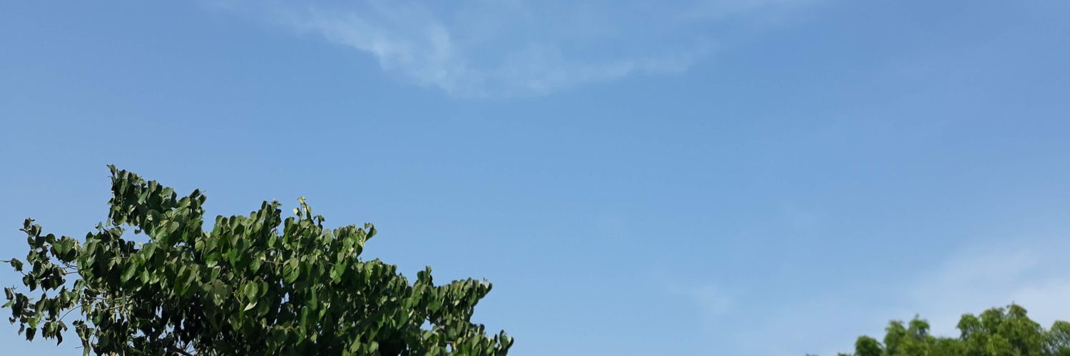 Di___diouf's profile banner image
