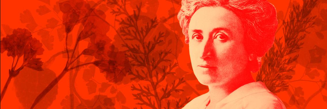 RLS_Niedersachsen banner