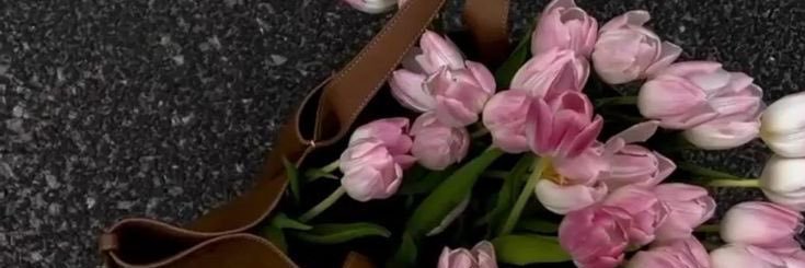 aa0li's profile banner image