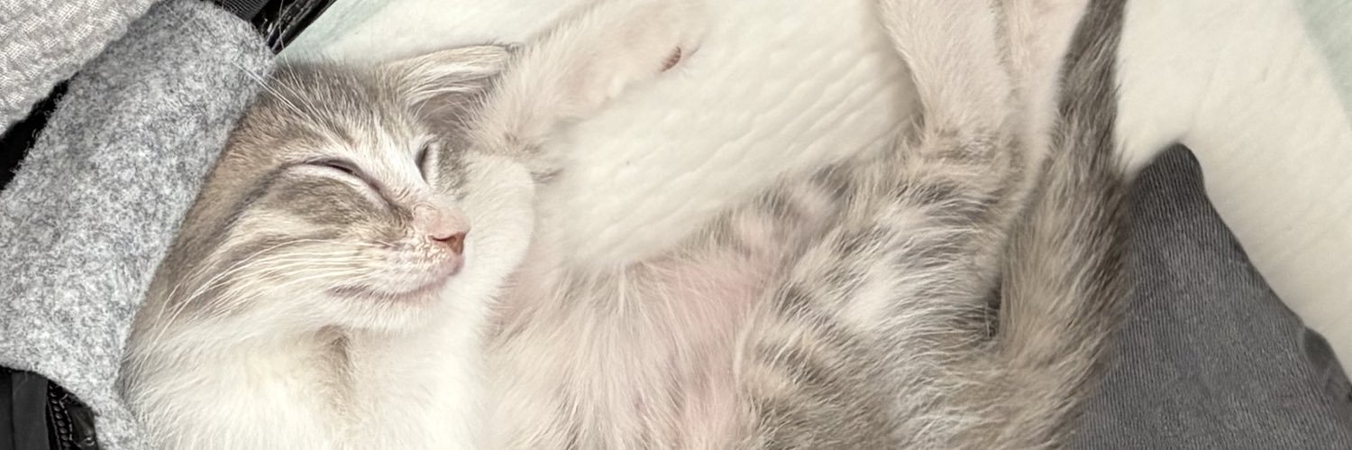 ぐい@食べるの好き banner