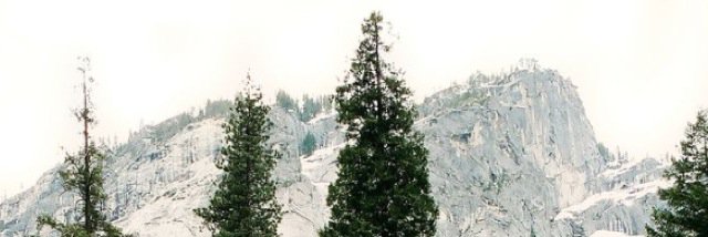 cassidy_dunkley's profile banner image