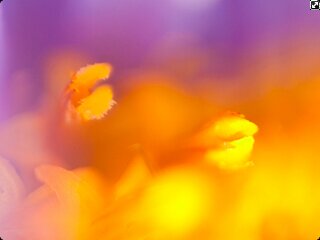 othie115's profile banner image
