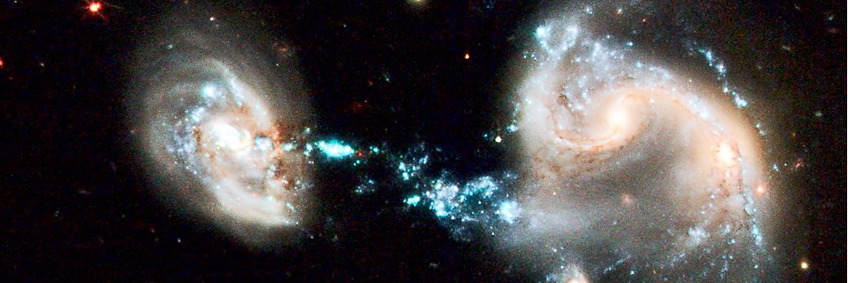 kaantanik's profile banner image