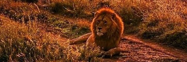 RecioJbc Profile Banner