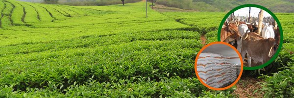 zadtonline Profile Banner