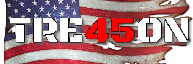 BeeKayResists's profile banner image