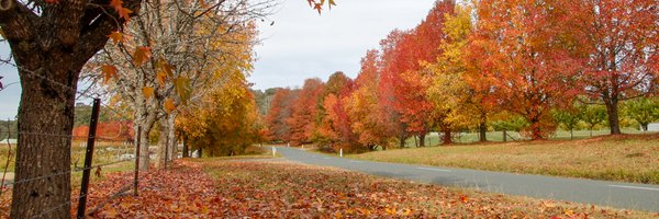 peterjwhitten Profile Banner