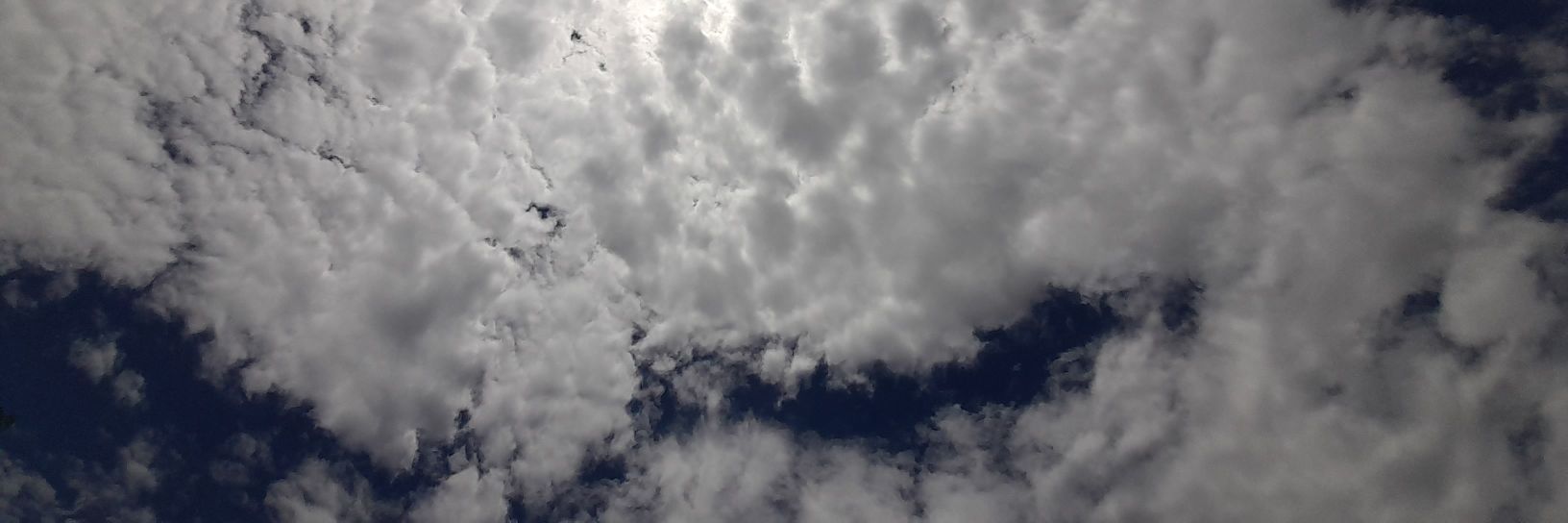 javierkocho's profile banner image