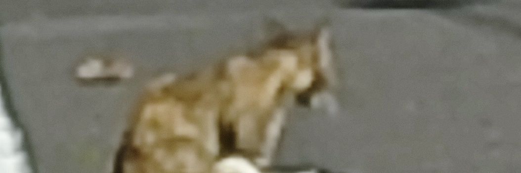 おしり banner
