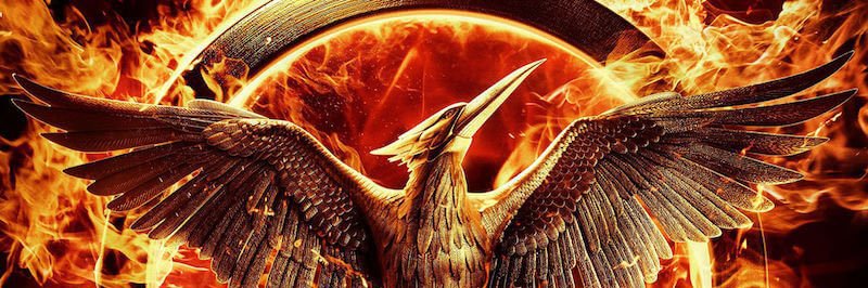 kankikreviwe 🔥 banner
