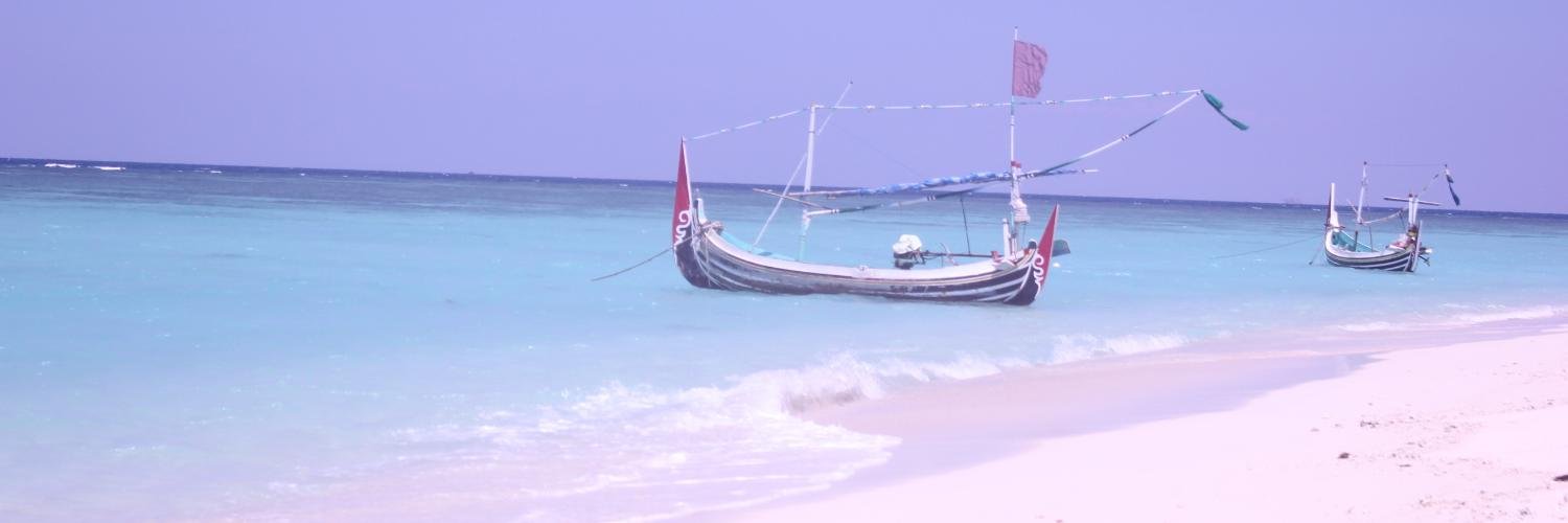 priyyanka's profile banner image