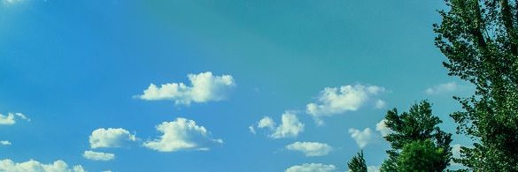 Climate Law and Governance Initiative banner