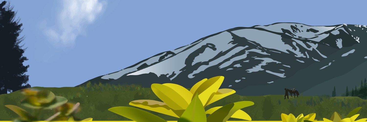 Asim529's profile banner image