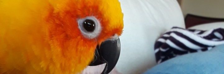 TaylorYaw's profile banner image