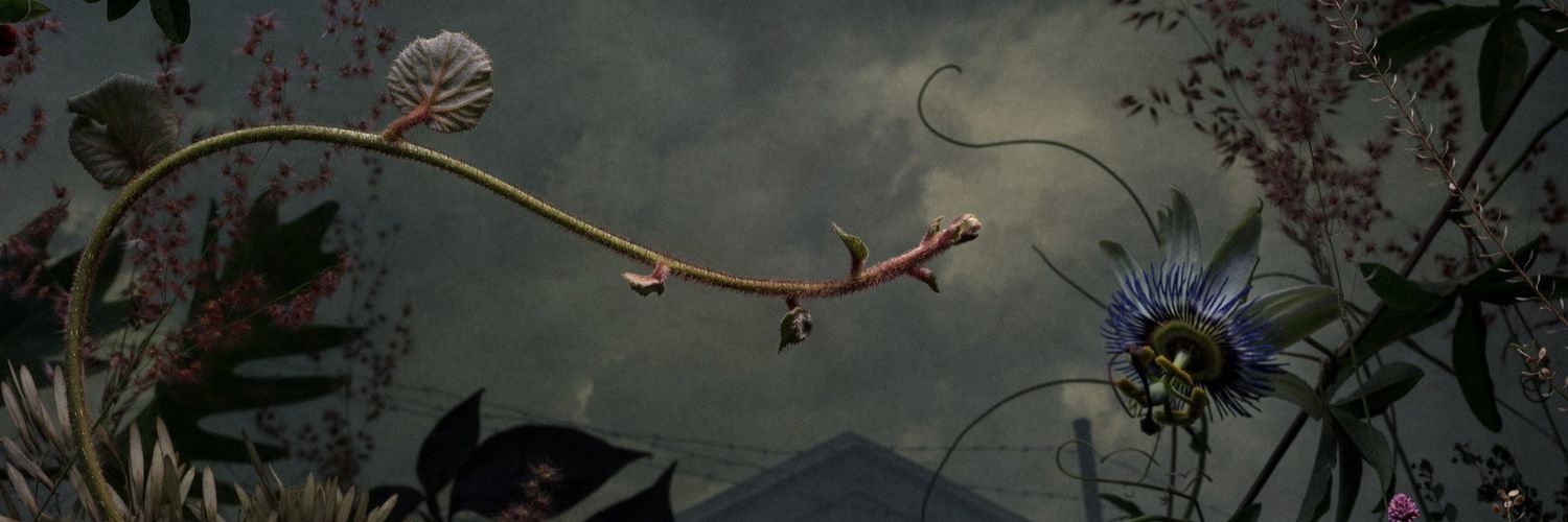 bvbygh0st's profile banner image