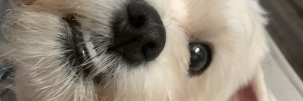 _APDaniGrim_ Profile Banner