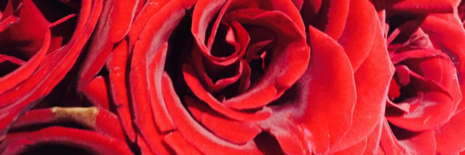 inessakang's profile banner image