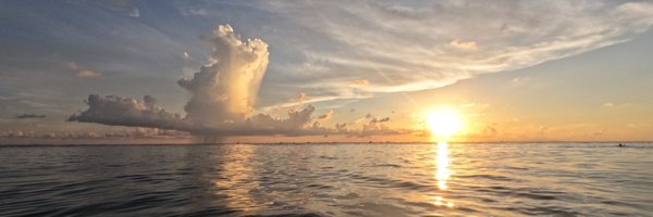 Saneya_2810 Profile Banner